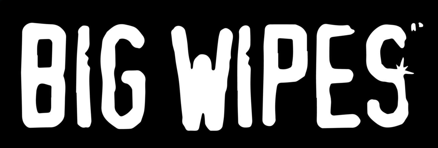 Big wipes logo20181019 2735 1m12y7t
